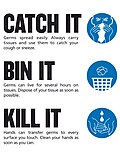 "Catch It, Bin It, Kill It" poster