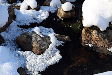 Nature of Inari