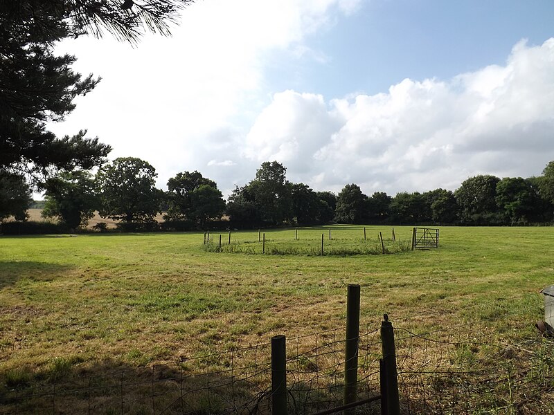 File:Sheep Dog Training ring at Rusca Farm - geograph.org.uk - 5090875.jpg