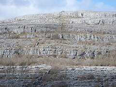 A dry stone wall going up the side of a hill