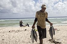 Homme sur la plage tenant quatre thons par la queue.