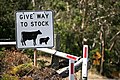 Image 27This Australian road sign uses the less common term "stock" for livestock. (from Livestock)