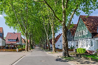 Allee Kattenstraße