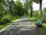 Section of the trail in Shawangunk, New York