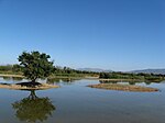 Aiguamolls de l'Alt Empordà