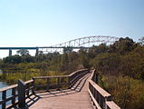 Boardwalk along the Attikamek Trail