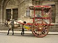 Image 14Kalesa, a traditional Philippine urban transportation, in front of Manila Cathedral entrance (from Culture of the Philippines)