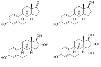 Chemical structures of major endogenous estrogens