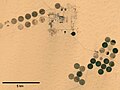 Imagen de satélite de grandes parcelas circulares irrigadas con dispositivos móviles de riego por aspersión, en el Sáhara egipcio.