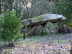 Image illustrative de l’article Dolmen de Roscasquen