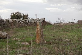 Borore - Menhir di Busola (01).JPG