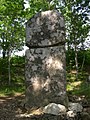 Menhir Picarel