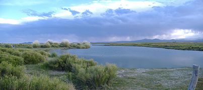 Lagunilla Llancanelo en 2007