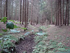 Schiffgraben aus dem Bornriethmoor