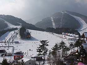 Vue aérienne de la station.