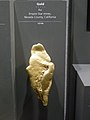 Gold nugget in the National Museum of Natural History (USA), about 6 inch long