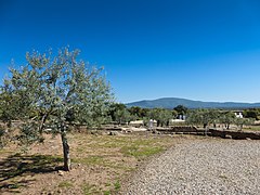 Ruínas Romanas de Cáparra, bajada a las termas.jpg