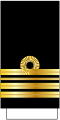 Distintivo per paramano