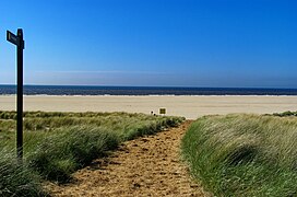 Texel - North Sea Beach & Dunes at Eierlandse Vuurtoren 07.jpg