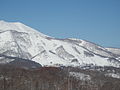 2014年2月26日 (水) 12:34時点における版のサムネイル