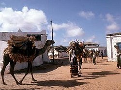 Nomadic pedestrians in Gabiley.