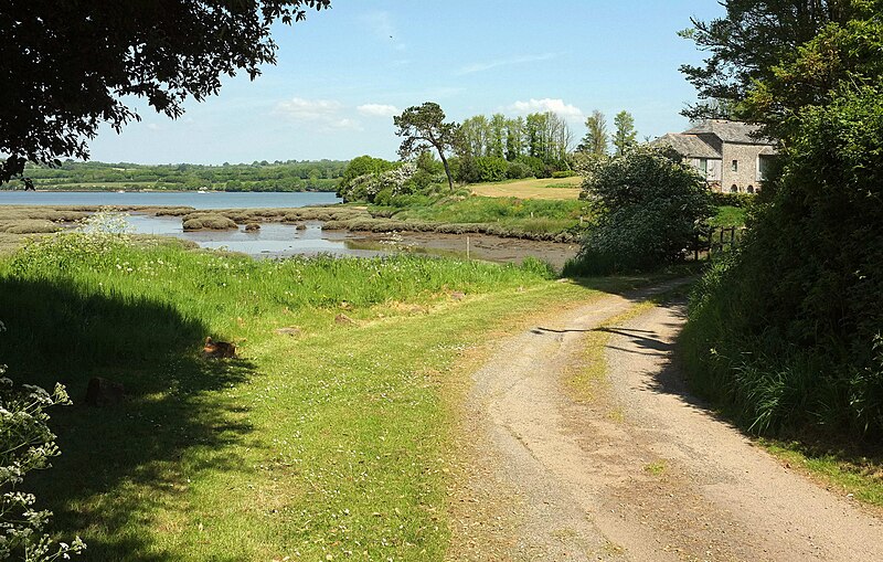 File:Creek at Clift - geograph.org.uk - 5782842.jpg