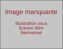 Image manquante.svg