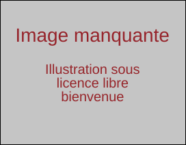 Il manque une image pour illustrer cette page ou section.