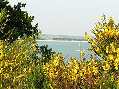 May 2004 nature in Fouesnant 5.jpg