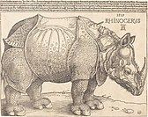 Rhinoceros, 1515, National Gallery of Art