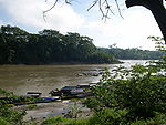 Boats line the near shore of a mile-sized river in a forest.