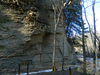 Honeycomb Rock, Pine Hills Nature Preserve