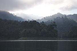 Rainforest around the Cheow Lan Lake, Thailand.jpg