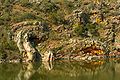 Deformación tectónica de los estratos cuarcíticos del Parque Nacional de Monfragüe (CÁCERES).