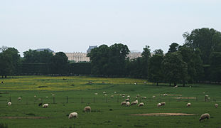 Versailles côté champs (plaine Saint-Antoine).