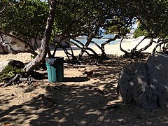 Virgin Gorda, British Virgin Islands - panoramio (31).jpg