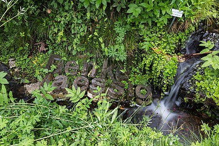 Münster, Botanischer Garten, Skulptur „Denke laessig“ (2016)