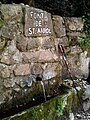 Font de Sant Aniol d'Aguja.