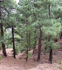 Caldera de Taburiente, La Palma