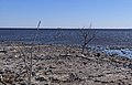 Bombay Beach, California