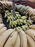 Thumbnail for File:2019 bananas in store Texas (4).jpg