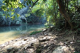 Jungle forest stream, Khlong Phanom, Thailand.jpg