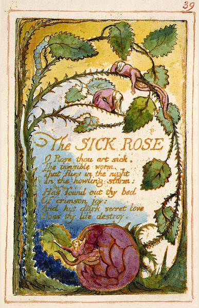 File:Songs of innocence and of experience, page 39, The Sick Rose (Fitzwilliam copy).png