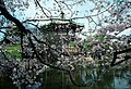 Benten shrine at Ueno Park, Tokyo