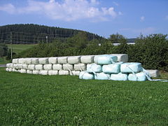 L'ensilage en balles de végétaux enrubannés par du film plastique est une méthode en progression.