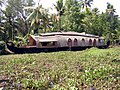 Houseboat in overgrown waters