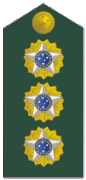 Insignia de coronel del Ejército.