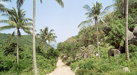 Ao Lang Kaay, Koh Tao