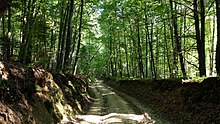 PL Szczebrzeszyn Landscape Park.jpg