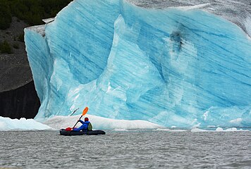 The face of blue glacial ice melting into the sea